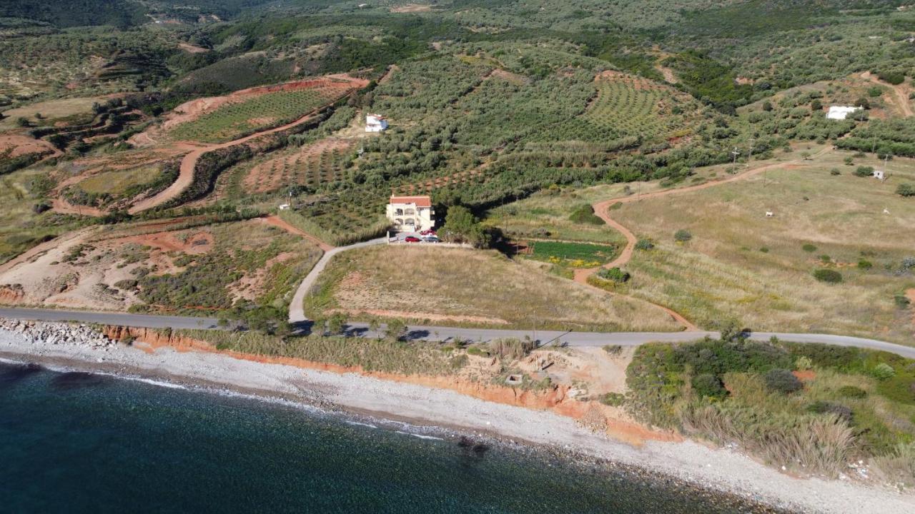 Psifia Studio Margarita Villa Marifay מראה חיצוני תמונה